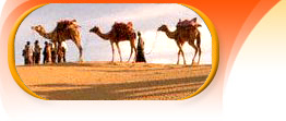 desert tour rajasthan